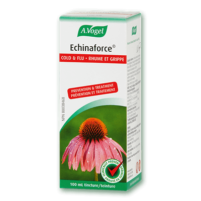 ECHINAFORCE® Echinacea Purpurea Extract (100 Milliliters)