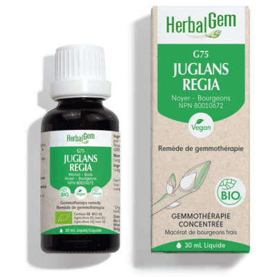 G75 Juglans regia (30 Milliliters)