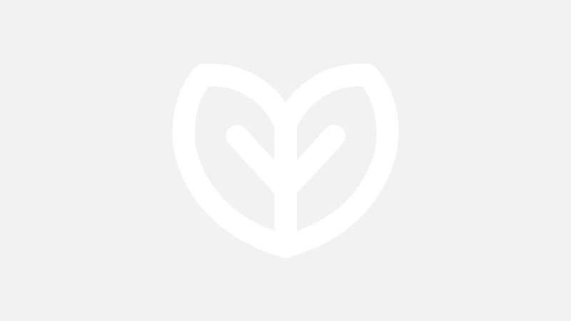 Blog post image