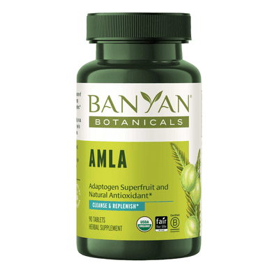 Amla (90 tablets)