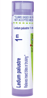 Ledum Palustre 1m (80 pellets)