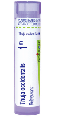 Thuja Occidentalis 1m (80 pellets)