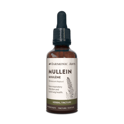 Mullein Leaf Tincture (50 Milliliters)