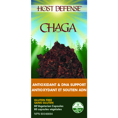 Chaga (Inonotus Obliquus) Capsules (60 capsules)