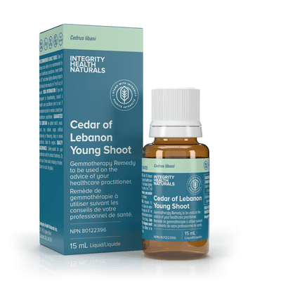Cedar of Lebanon Young Shoot - Cedrus Libani (15 Milliliters)