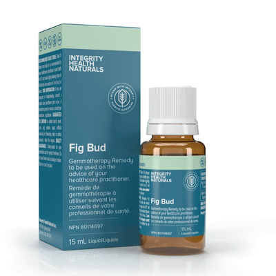 Fig Bud - Ficus carica (15 Milliliters)