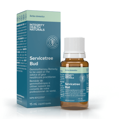 Servicetree Bud - Sorbus Domestica (15 Milliliters)