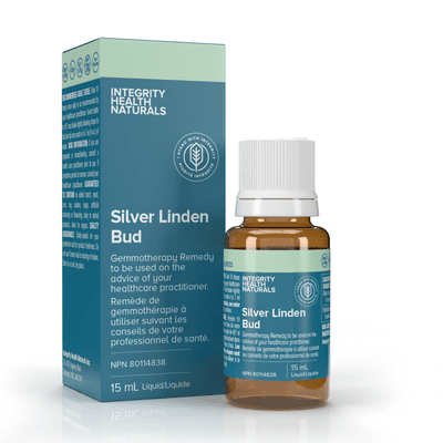 Silver Linden Bud - Tilia tomentosa (15 Milliliters)