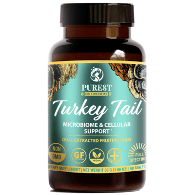 Turkey Tail Mushroom Extract (60 tablets)