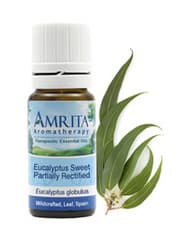Organic Eucalyptus Globulus (Sweet) (2oz)