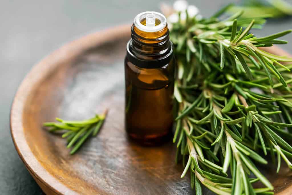 Rosemary extract and in essential oil form in bottle