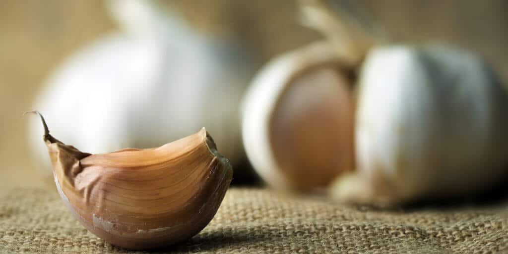 supplements to avoid before surgery - garlic