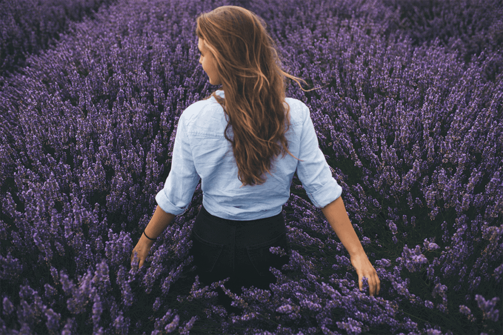 Woman walking in field of lavender