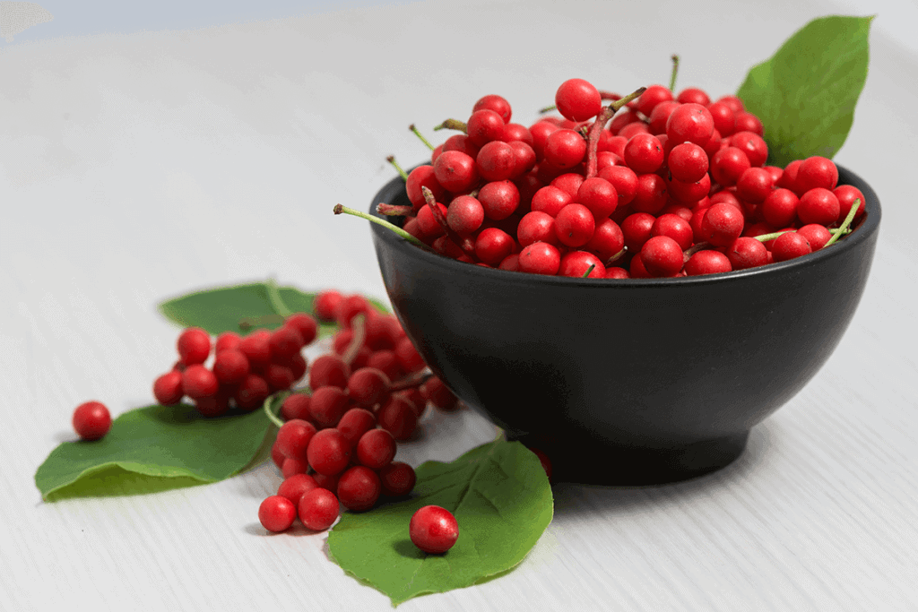 Schisandra in plant form - berries in black bowl