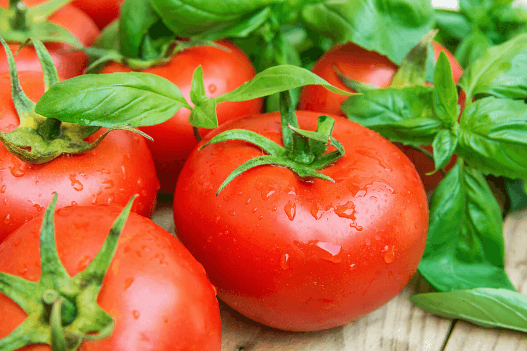 tomatoes