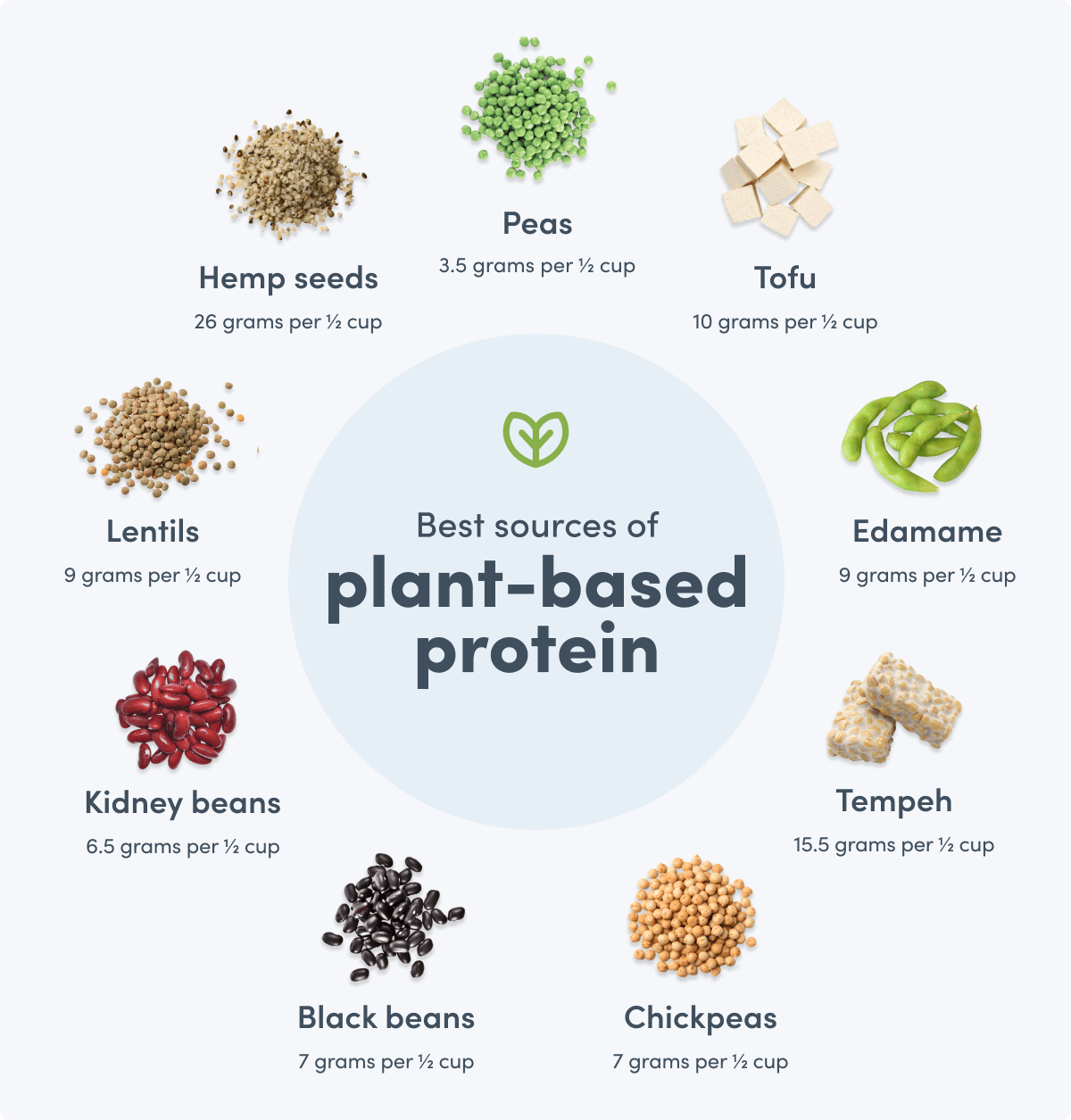 graphic showing the best sources of plant-based protein