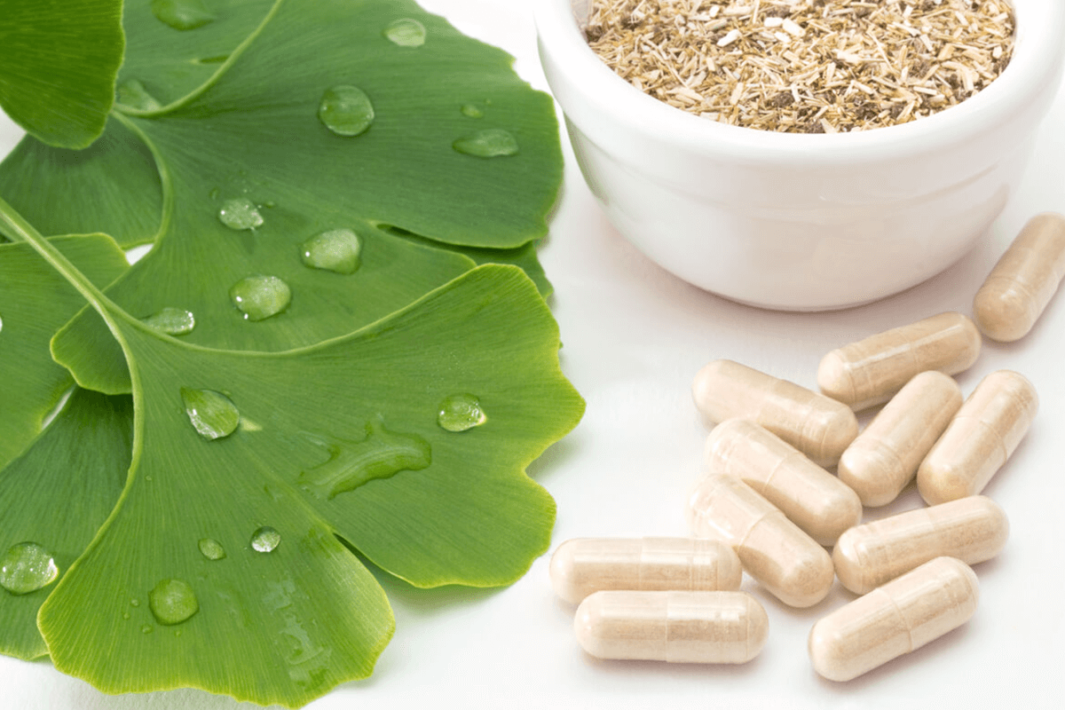 brain health botanicals ginkgo biloba extract and supplements