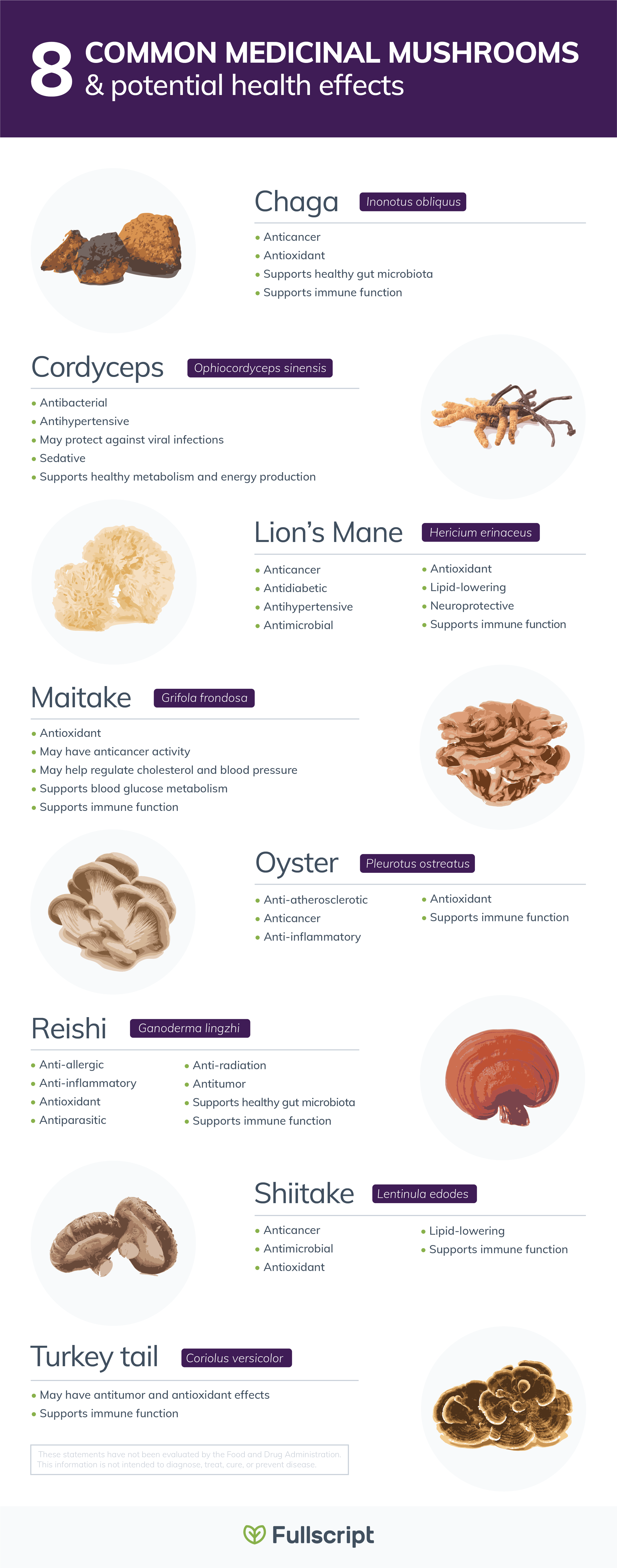 Mushrooms for immune health infographic