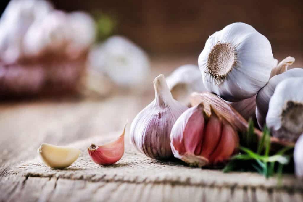 Garlic gloves on a table