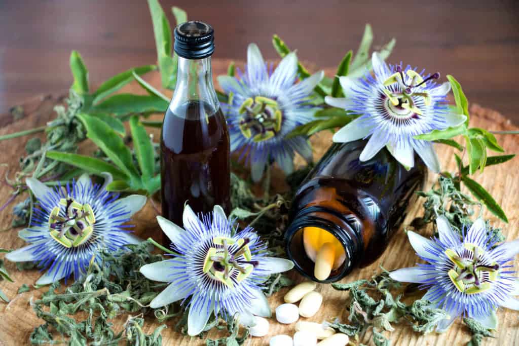 Passion flower