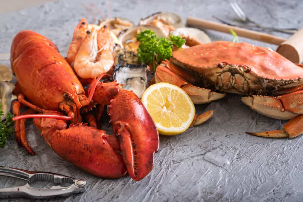 Shellfish