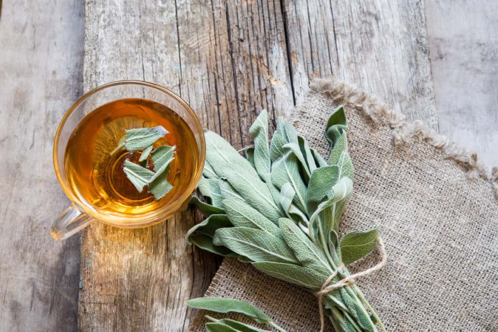 Common sage tea