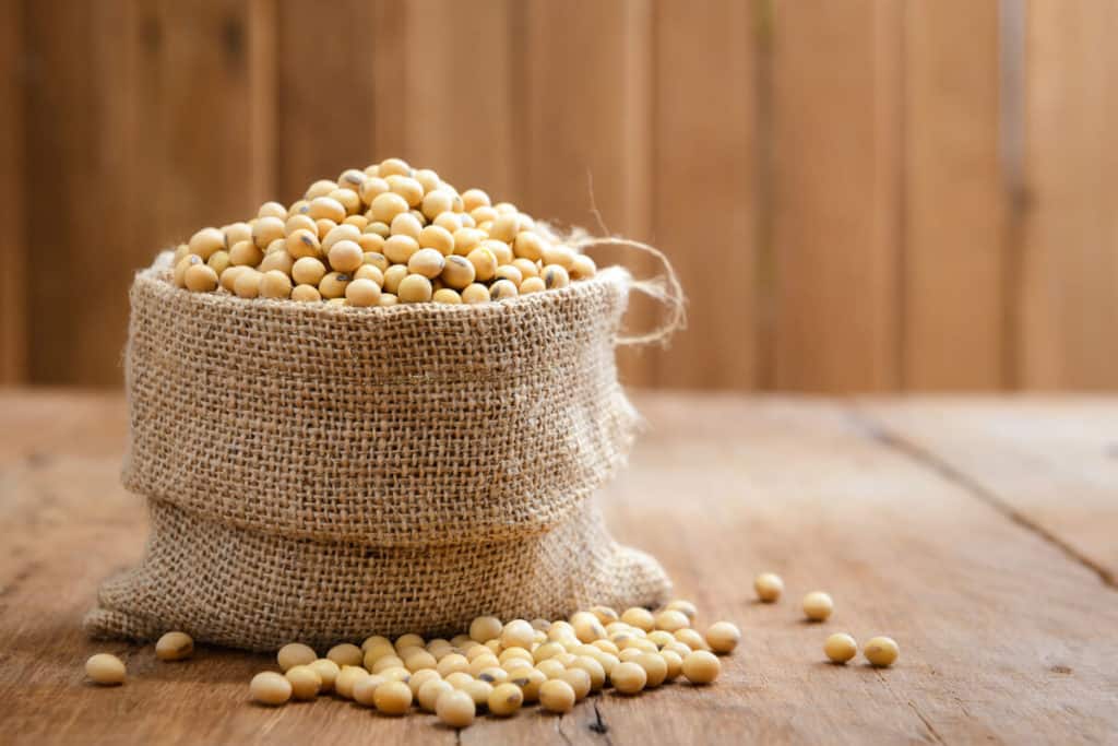 Soy beans