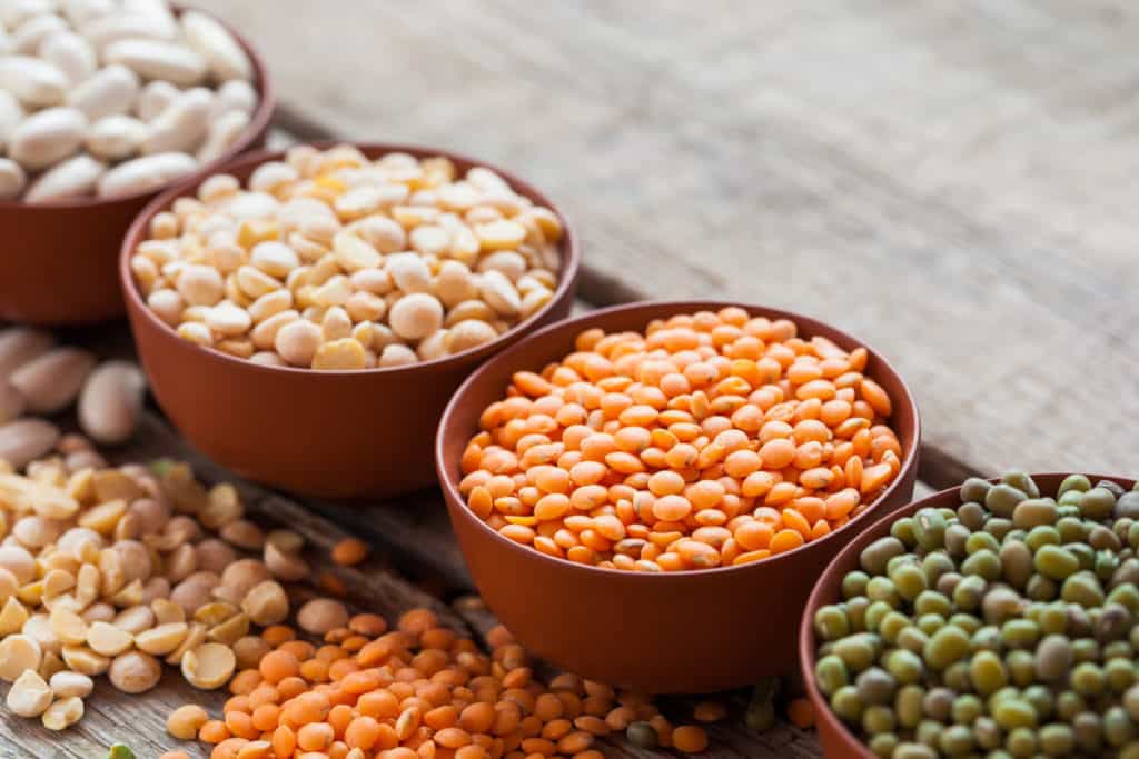 Bowls full of chickpeas and lentils