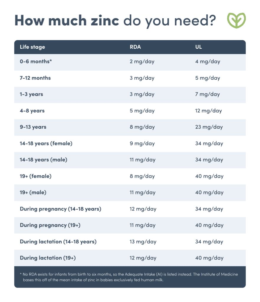 Everything You Need to Know About Zinc Fullscript