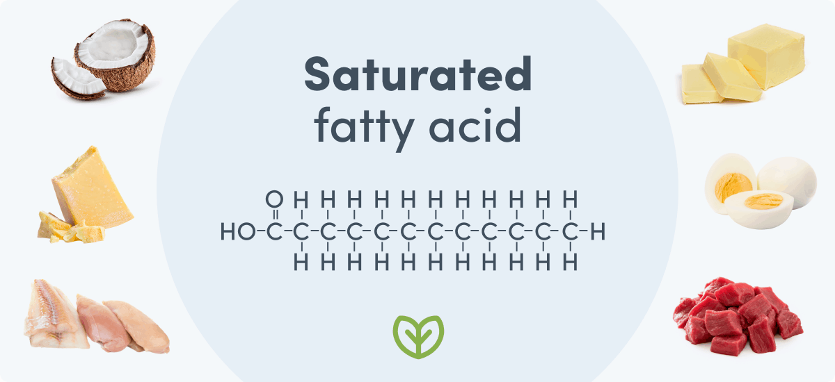 What Is An Example Of Saturated Fatty Acid