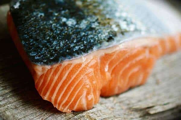fish oil blog post