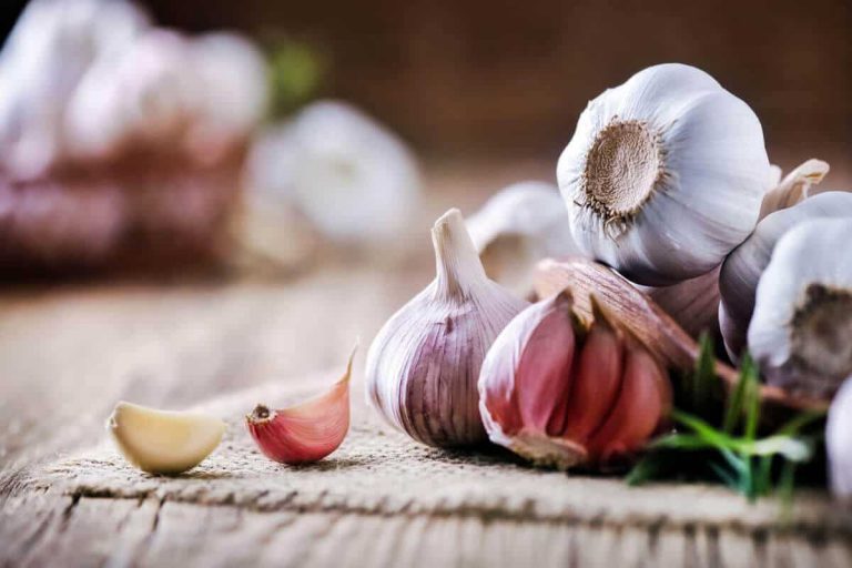 the health benefits of garlic: what you need to know blog post