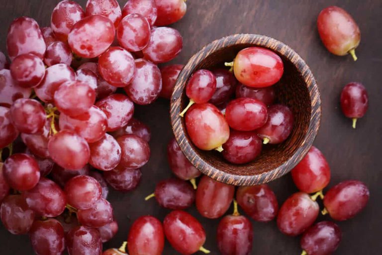 top 5 nutrients to consider for longevity blog post