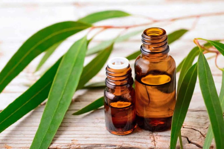 17 fast-acting & natural ways to manage seasonal allergies blog post