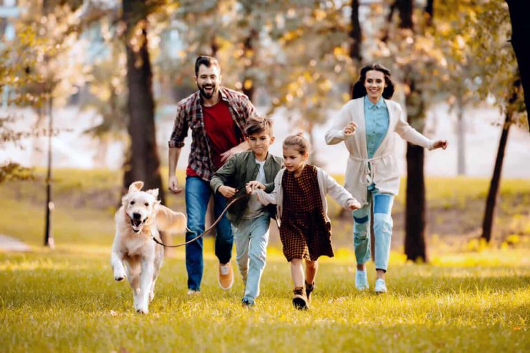 how to avoid autumn illnesses, naturally: lifestyle tips and supplements blog post