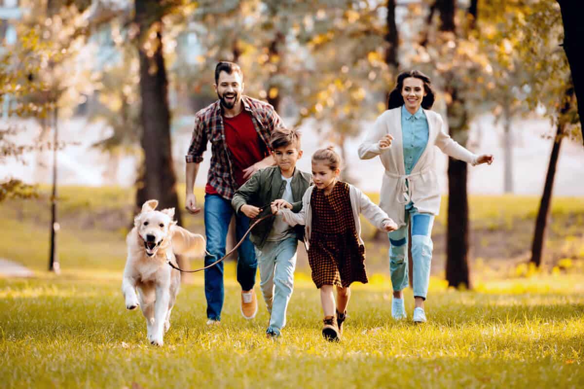 avoid autumn illnesses naturally