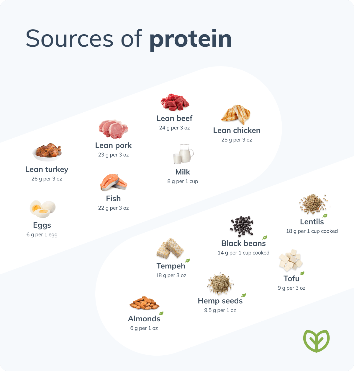 best protein sources meat and plant protein