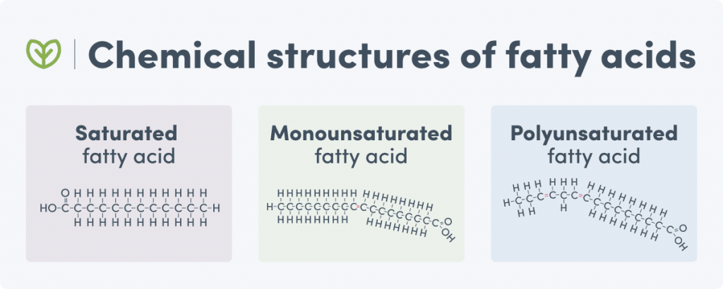 Chart showing the chemical structure of fatty acids