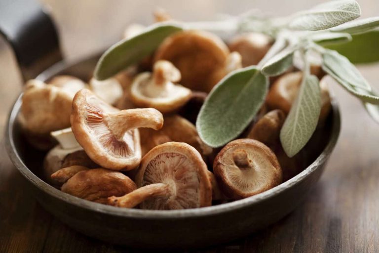 2 supplements you didn’t know to use for cold and flu season blog post