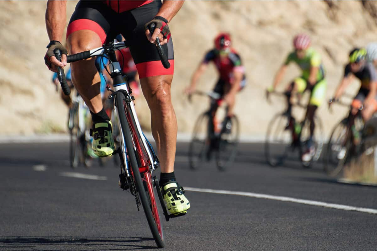 Effect of probiotic supplementation on performance