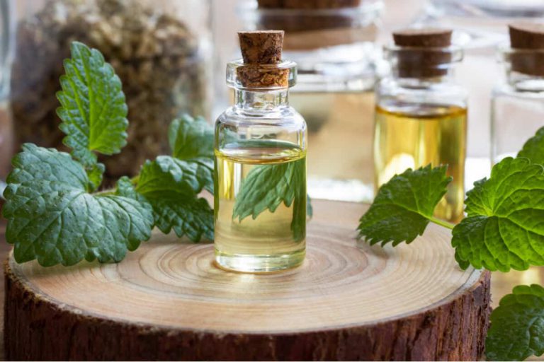 research update: a randomized controlled trial on the effect of melissa officinalis syrup on patients with psoriasis blog post