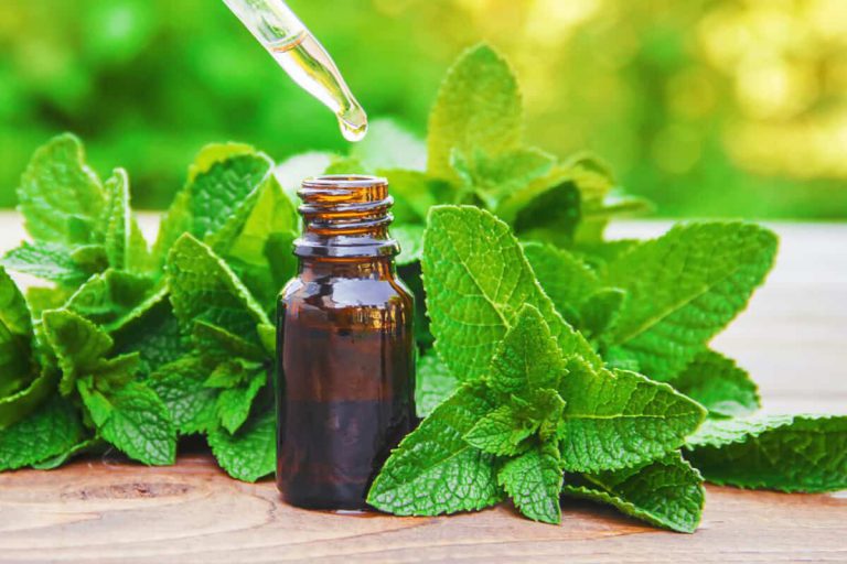 research update: a systematic review and meta-analysis of herbal treatment of irritable bowel syndrome blog post