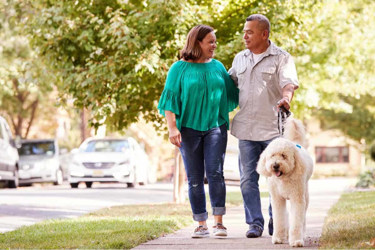 How to improve lung health two people walking a dog