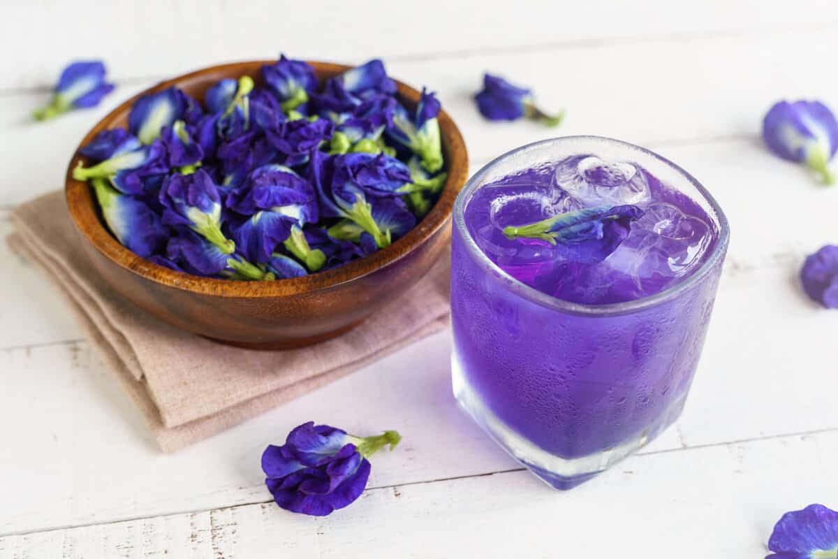 Butterfly pea flower 