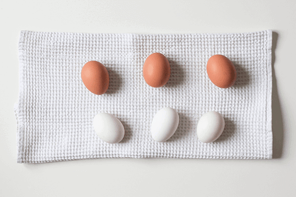 daily protein requirements: how much do you need? blog post