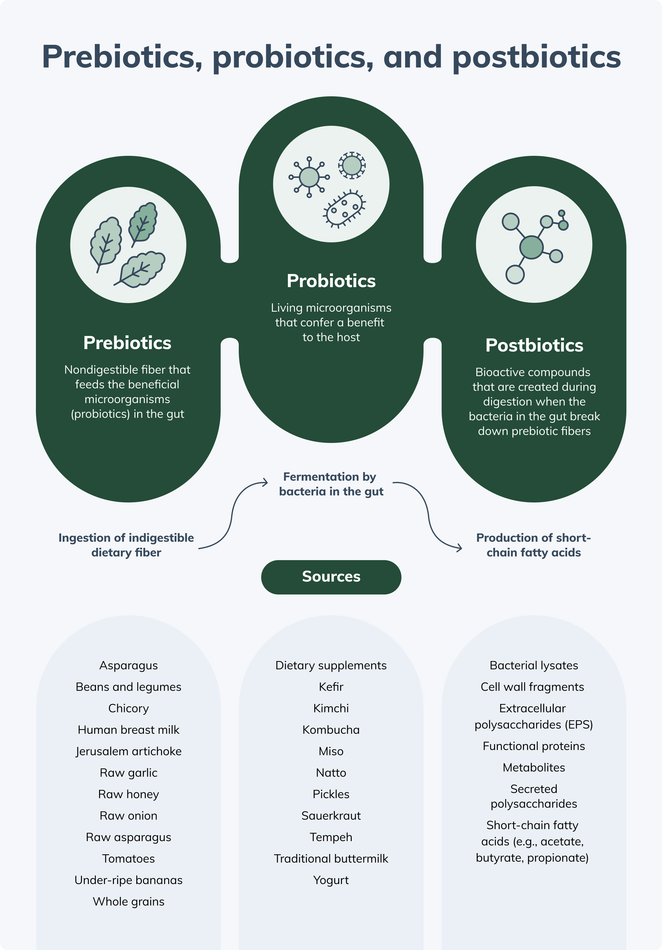 postbiotics-vs-prebiotics-vs-probiotics-vs-postbiotics