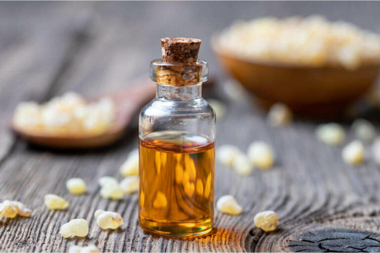 boswellia: benefits & supplement guide blog post