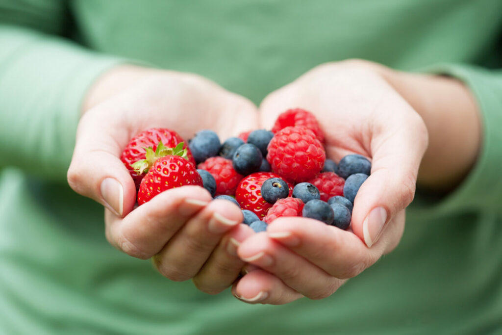 functional food cover image