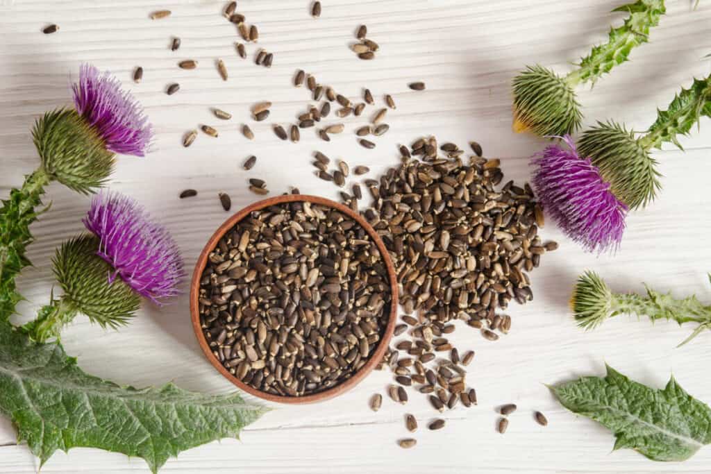 best milk thistle supplement