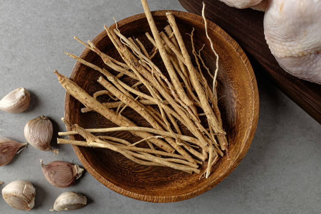 astragalus benefits